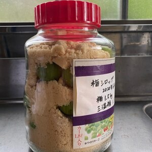 三温糖で作る【梅ジュース】のレシピ(๑❛ᴗ❛๑)